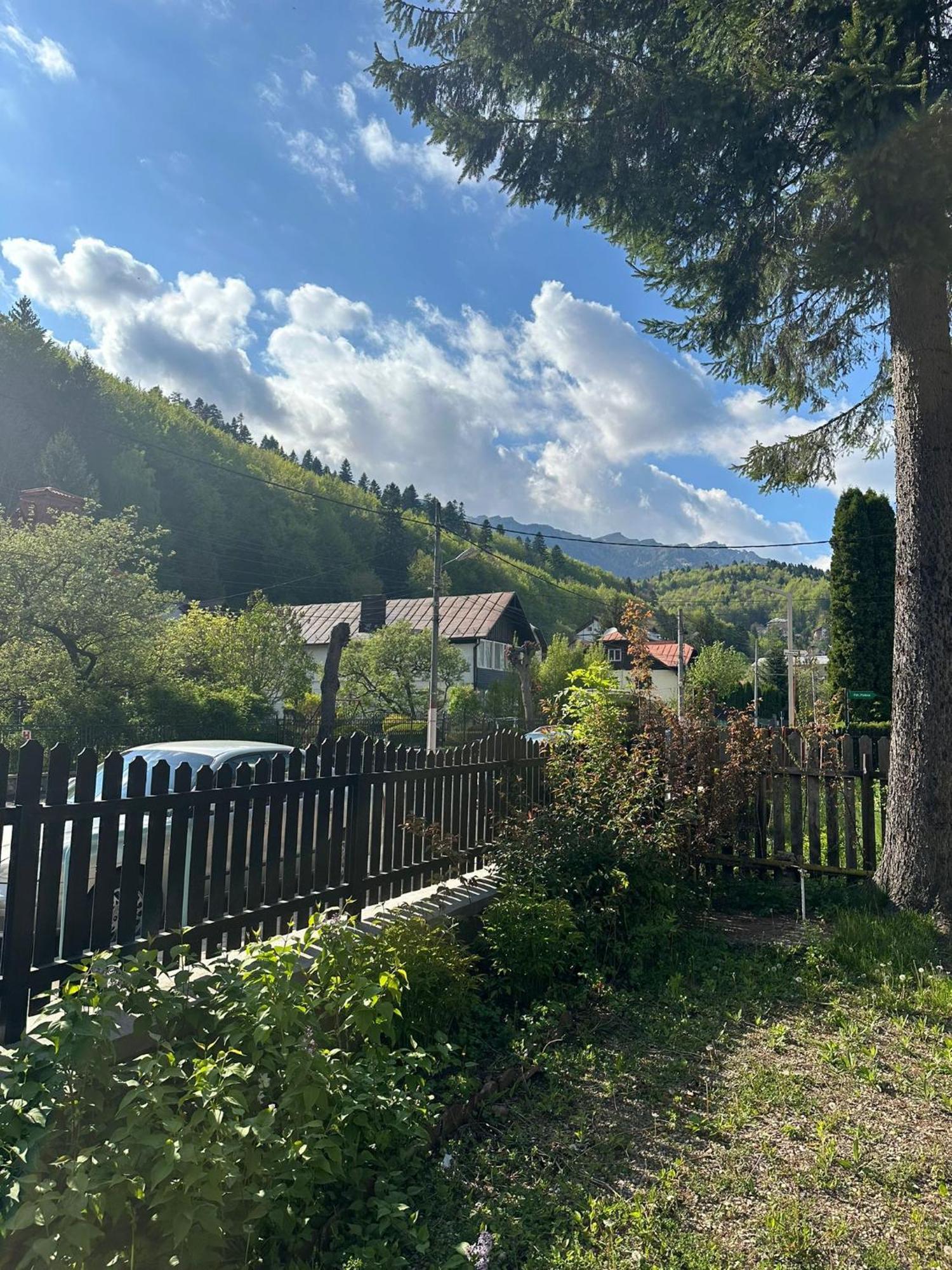 Rapsodia Sinaia Bed & Breakfast Exterior foto
