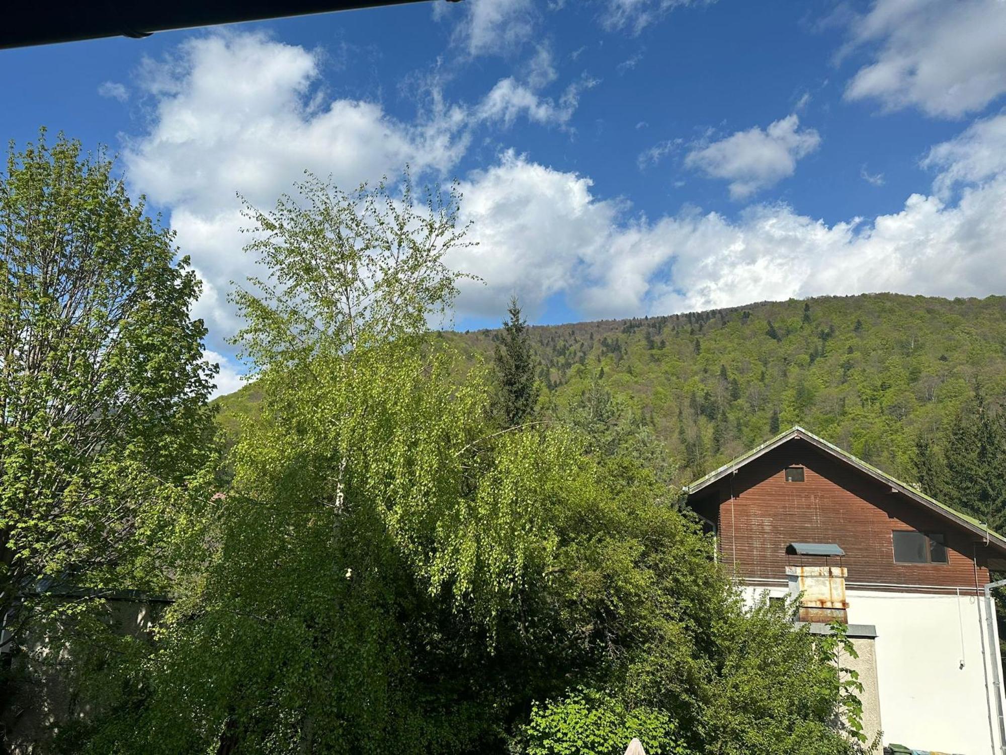 Rapsodia Sinaia Bed & Breakfast Exterior foto