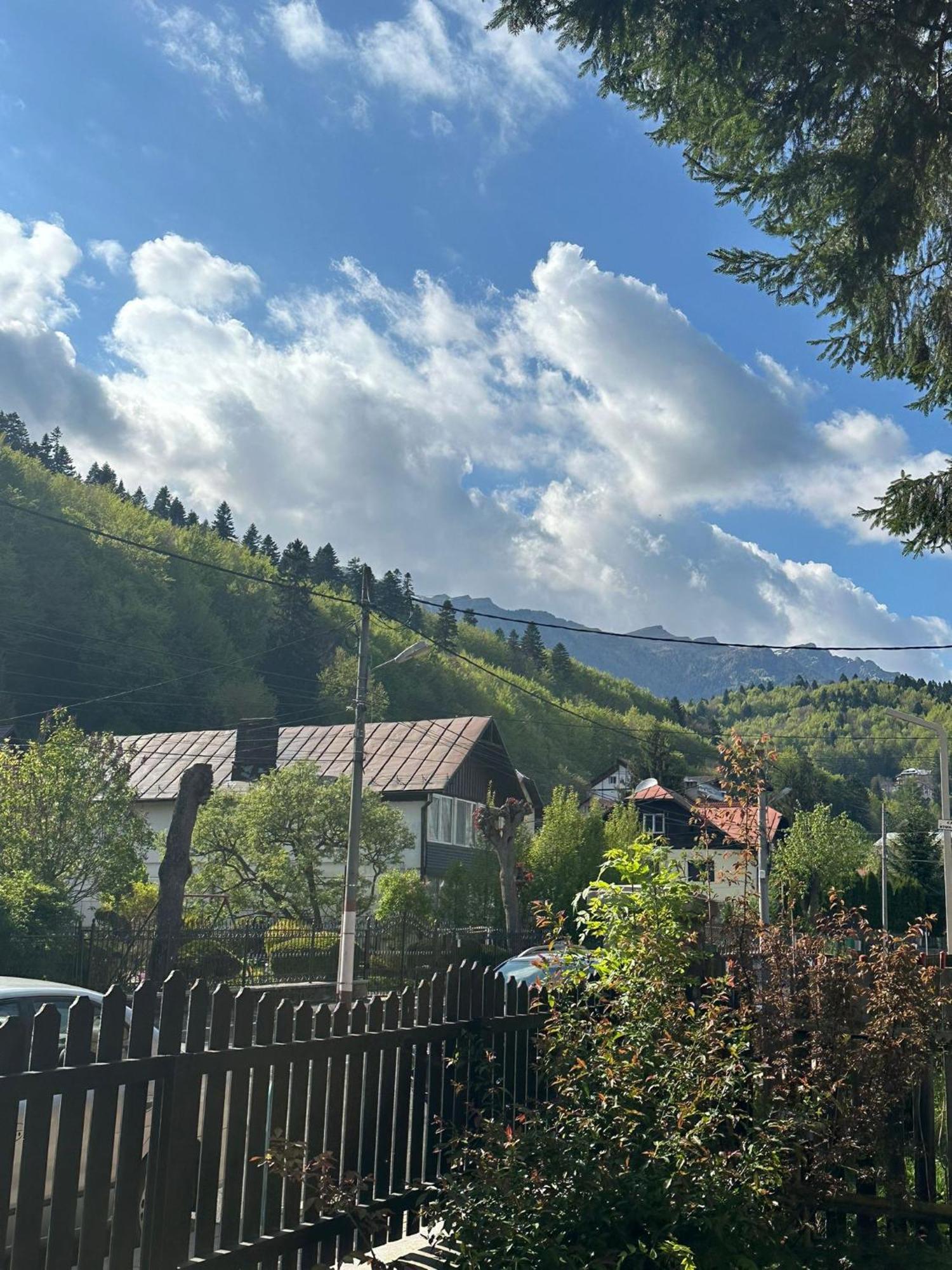Rapsodia Sinaia Bed & Breakfast Exterior foto