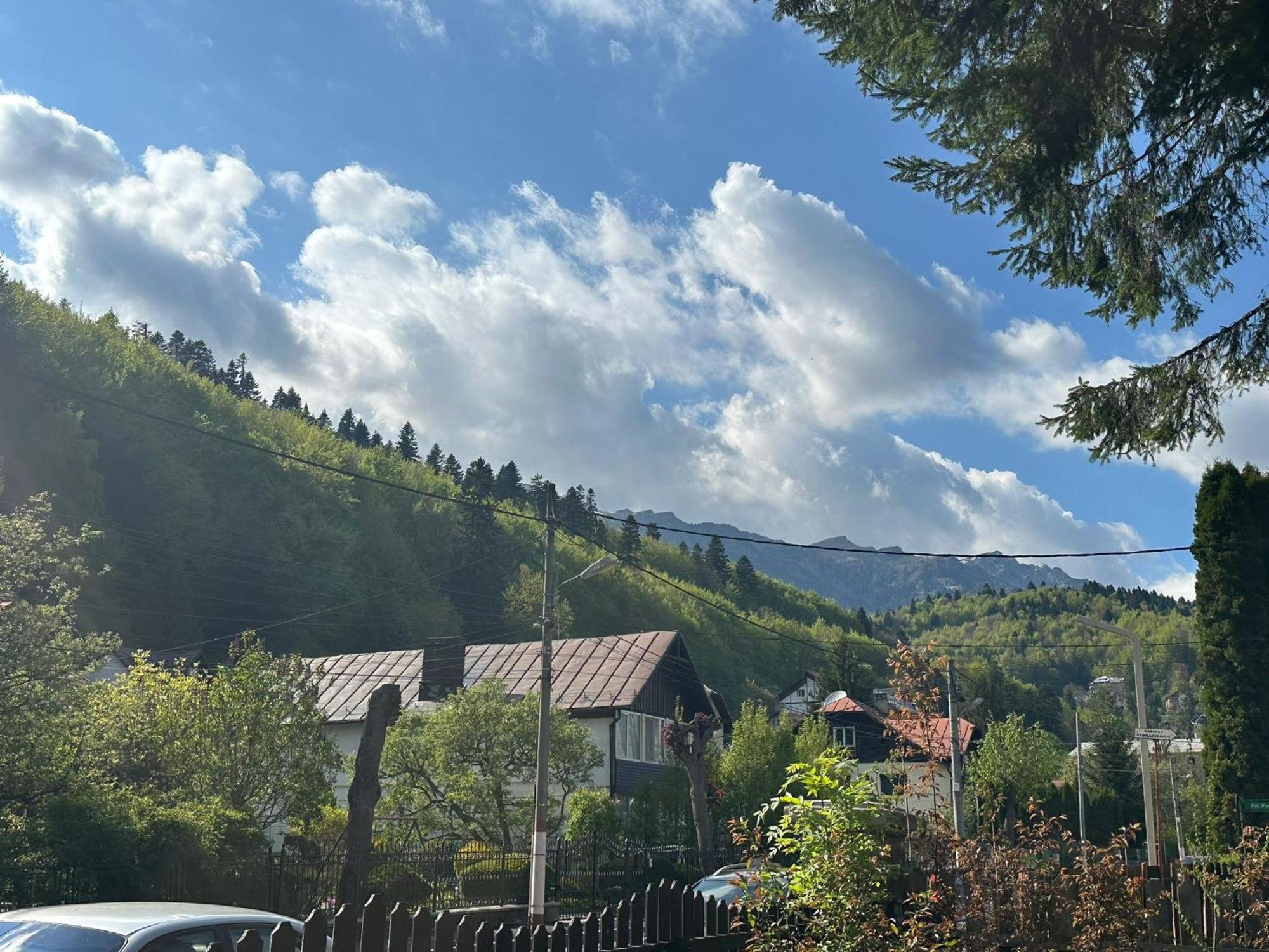 Rapsodia Sinaia Bed & Breakfast Exterior foto