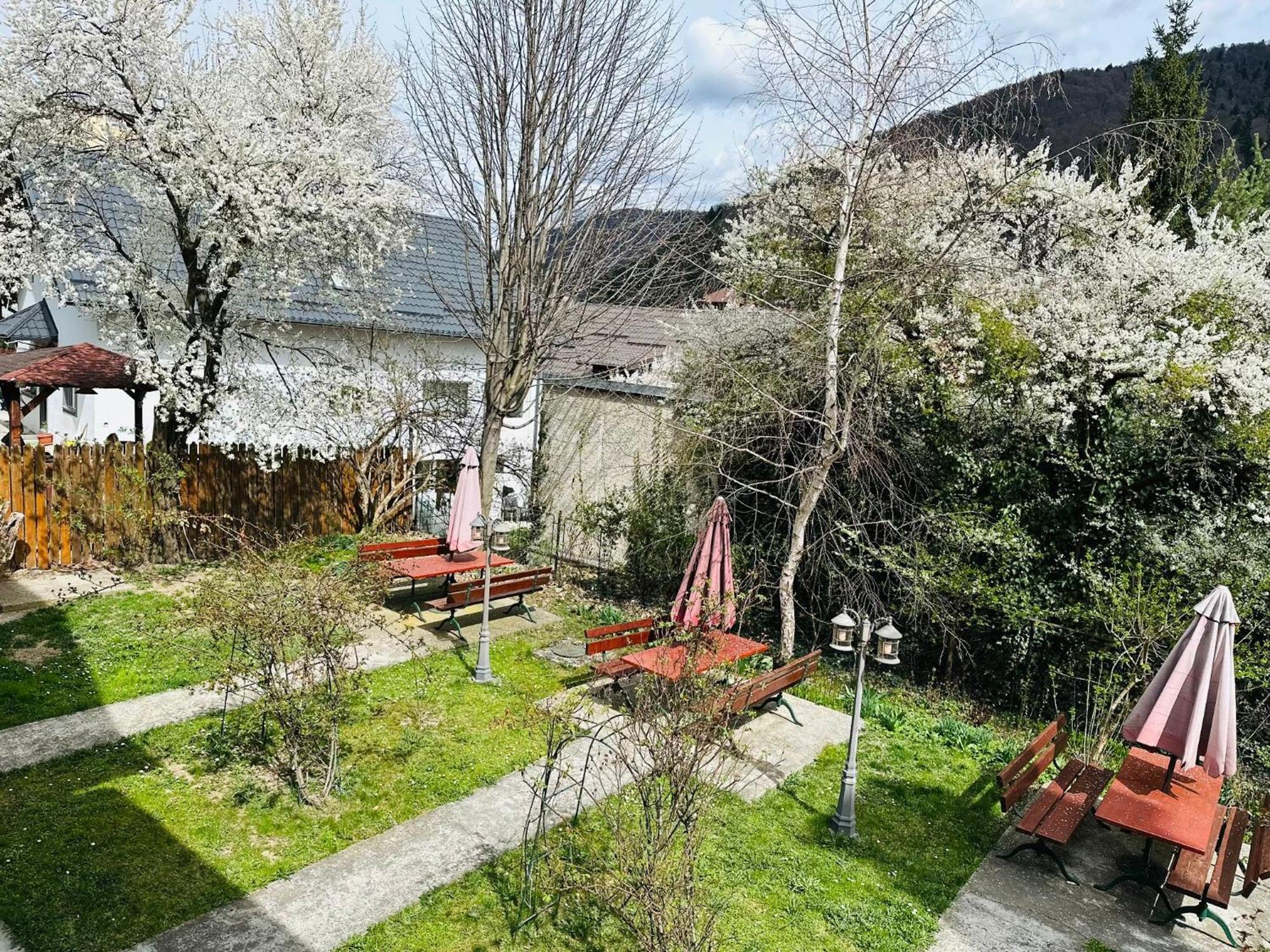 Rapsodia Sinaia Bed & Breakfast Exterior foto